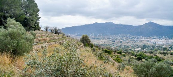  قطعة أرض في Jalon, Spain 10600متر مربع رقم 102910 7