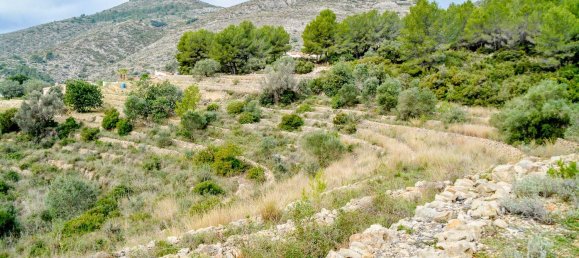  قطعة أرض في Jalon, Spain 10600متر مربع رقم 102910 8