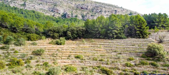  قطعة أرض في Jalon, Spain 10600متر مربع رقم 102910 4