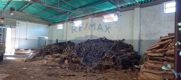 Lagerhaus in Macas de Dona Maria, Portugal 330m², Nr. 67185 8