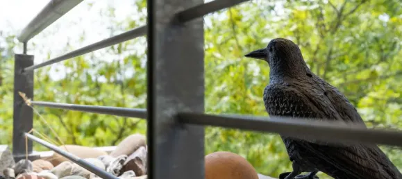 2 chambres Duplex à Mainz, Germany No. 280643 4