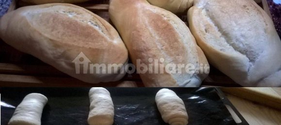 1 room Commercial property in Bologna, Italy No. 357661 15