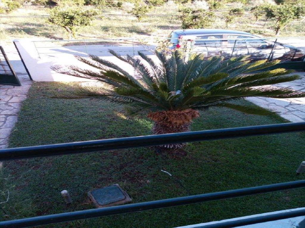 4 غرف نوم منزل في Velo, Greece رقم 103825