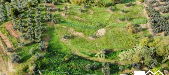 Terreno en Selci, Italy 25000 m² No. 130148 7