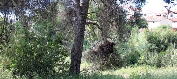 Hotel in Chalkidiki, Greece 1400m², Nr. 7853 4