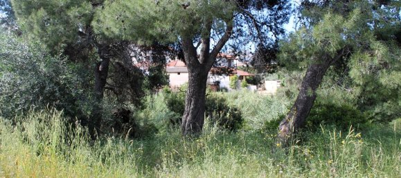 Hotel in Chalkidiki, Greece 1400m², Nr. 7853 2