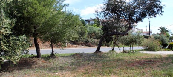 Hotel in Chalkidiki, Greece 1400m², Nr. 7853 3