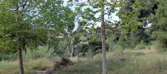 Hotel in Chalkidiki, Greece 1400m², Nr. 7853 5