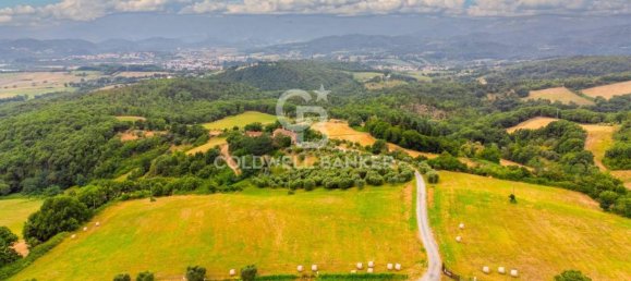 4-Zimmer Haus in Barberino di Mugello, Italy, Nr. 36145 13