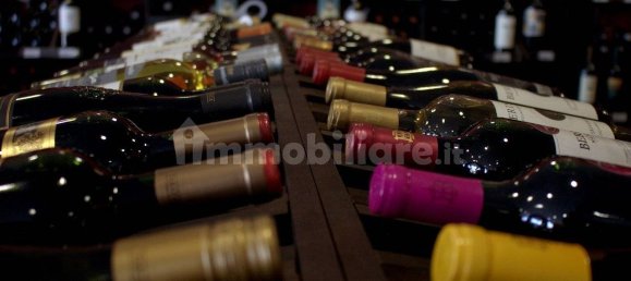 2-Zimmer Gewerbliche Immobilie in Venice, Italy, Nr. 227162 10