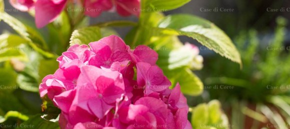 4 Schlafzimmer Wohnung in Albenga, Italy, Nr. 82118 2