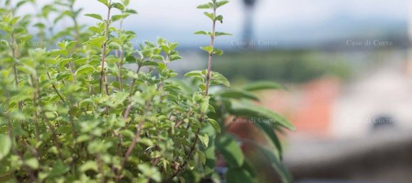 4 Schlafzimmer Wohnung in Albenga, Italy, Nr. 82118 24