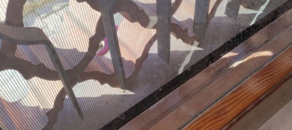 13 rooms House in Campegine, Italy No. 10490 36