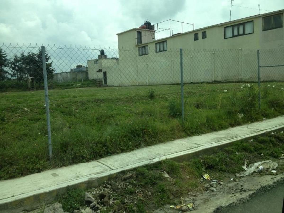 Terrain à San Buenaventura, Mexico No. 203331