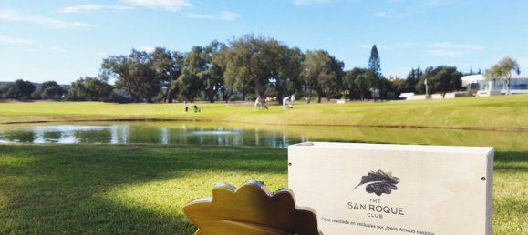 5 bedrooms Villa in Cadiz, Spain No. 136711 8