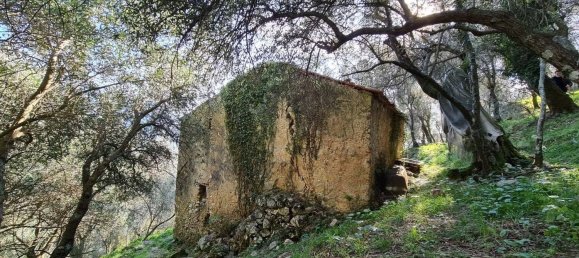 2 rooms House in Camaiore, Italy No. 166711 3