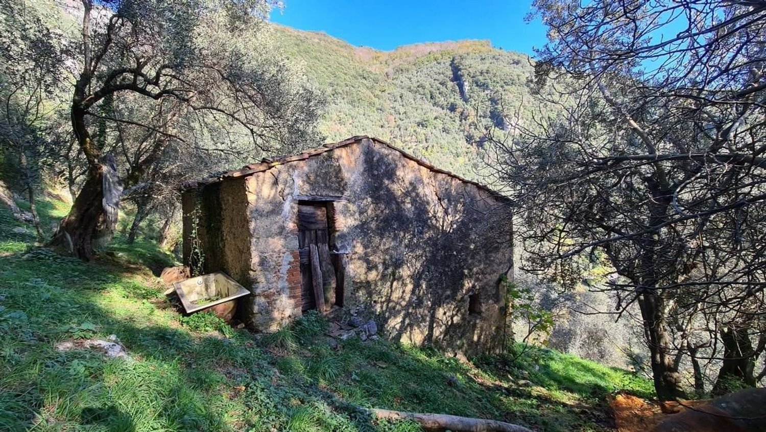 2 rooms House in Camaiore, Italy No. 166711