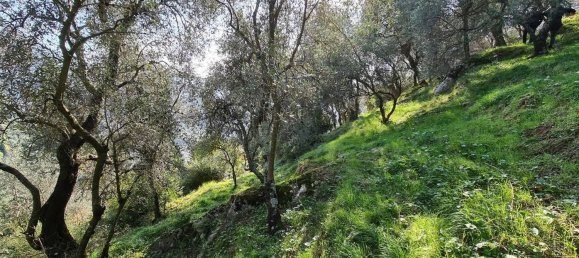 2 rooms House in Camaiore, Italy No. 166711 7