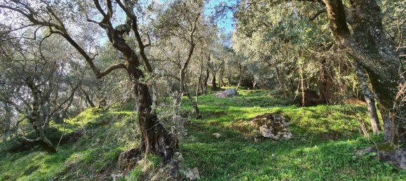 2 rooms House in Camaiore, Italy No. 166711 9