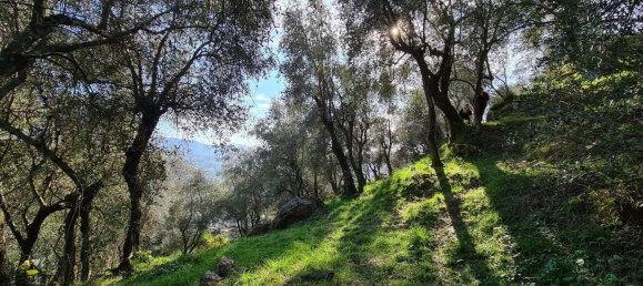 2 rooms House in Camaiore, Italy No. 166711 8