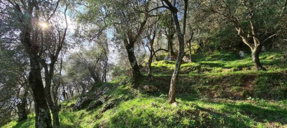 2 rooms House in Camaiore, Italy No. 166711 10