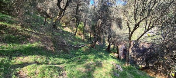 2 rooms House in Camaiore, Italy No. 166711 6