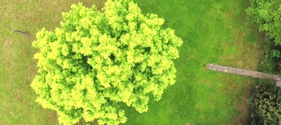 Grundstück in Montichiari, Italy 1500m², Nr. 300380 6