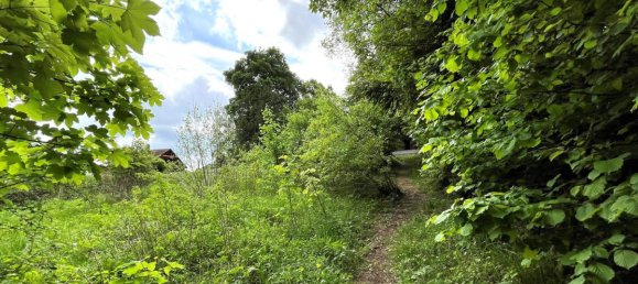  Land in Kronach, Germany No. 186706 5