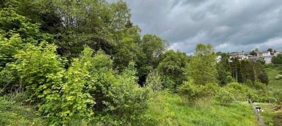  Land in Kronach, Germany No. 186706 4