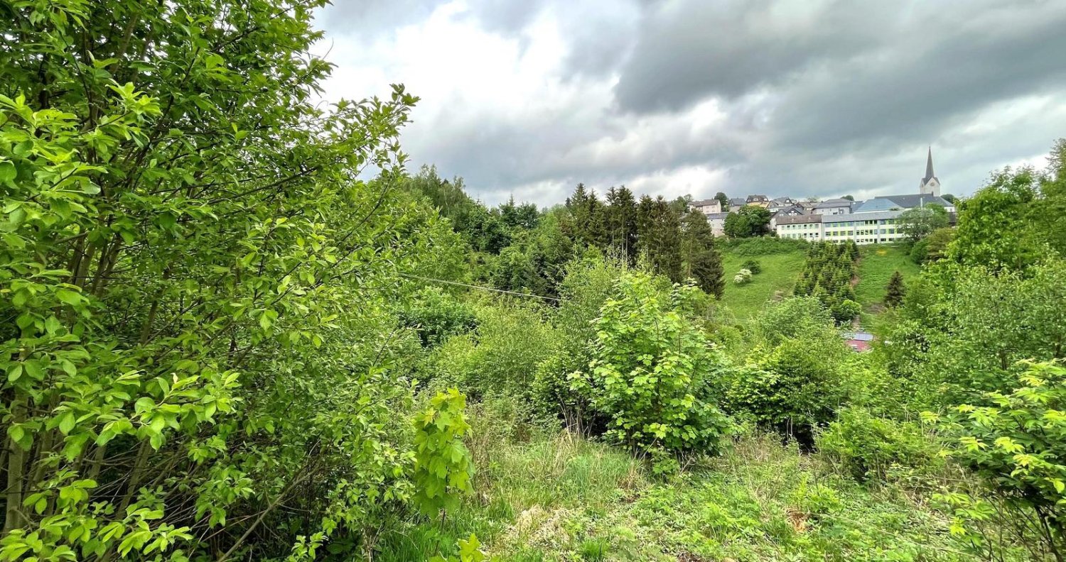  Land in Kronach, Germany No. 186706