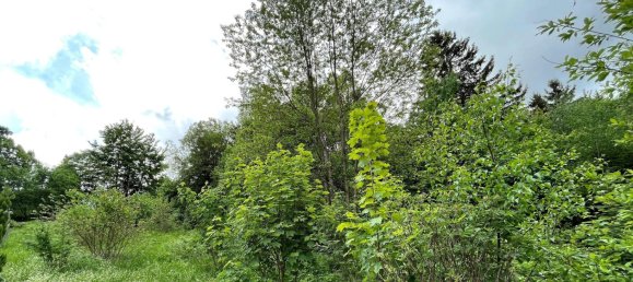  Land in Kronach, Germany No. 186706 3