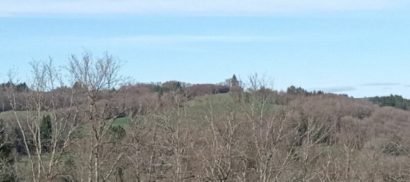 4 Schlafzimmer Haus in Bujaleuf, France, Nr. 108358 7