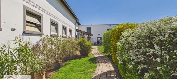 5 Schlafzimmer Bauernhof in Trier-Saarburg, Germany, Nr. 278037 17