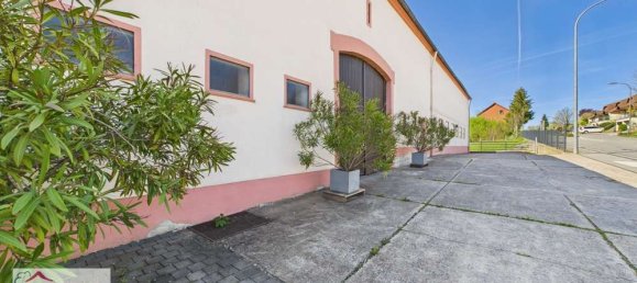 5 Schlafzimmer Bauernhof in Trier-Saarburg, Germany, Nr. 278037 18