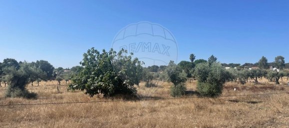 Casa T9 em Évora, Portugal N.º 67556 31