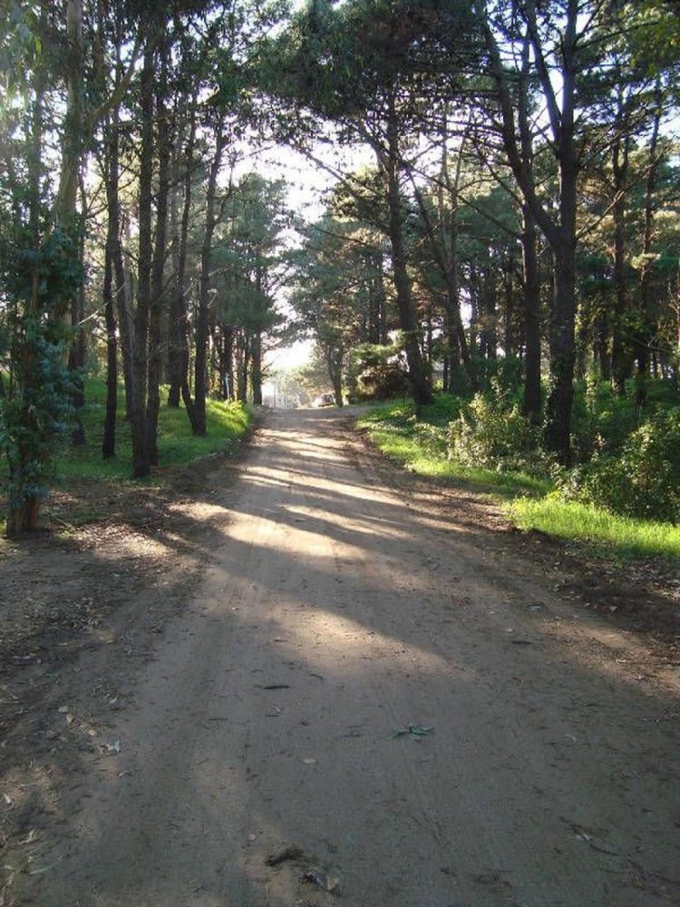 Grundstück in Mar del Plata, Argentina, Nr. 113961
