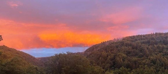 Пентхаус с 4 комнатами в Пфорцхайм, Германия № 232598 28