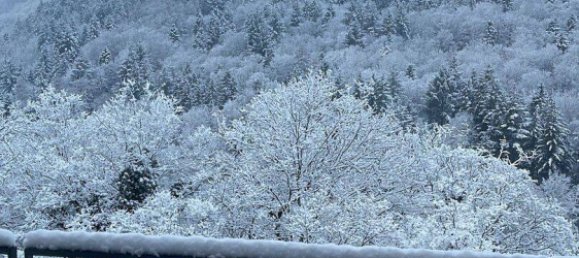 Пентхаус с 4 комнатами в Пфорцхайм, Германия № 232598 30