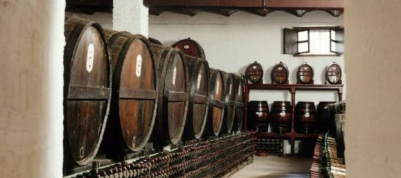 2500m² House in Barcelona, Spain No. 86 4