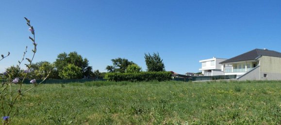  قطعة أرض في Eisenstadt Umgebung, Austria رقم 156498 2