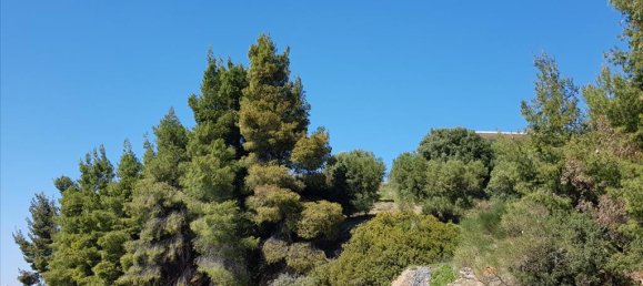 5 Schlafzimmer Villa in Chalkidiki, Greece, Nr. 5075 21