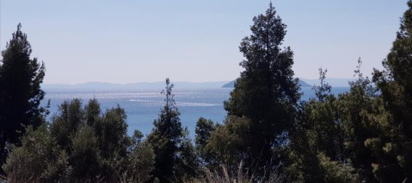 5 Schlafzimmer Villa in Chalkidiki, Greece, Nr. 5075 5