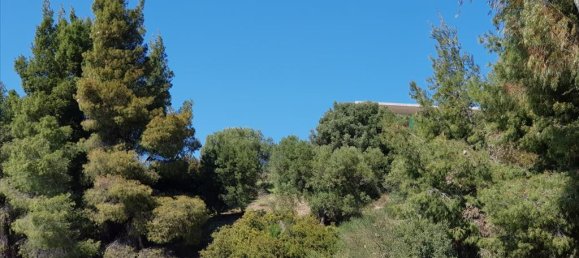 5 Schlafzimmer Villa in Chalkidiki, Greece, Nr. 5075 20