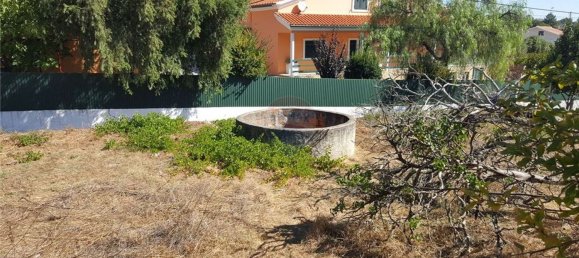 Casa T4 em Mouriscas, Portugal N.º 29433 5