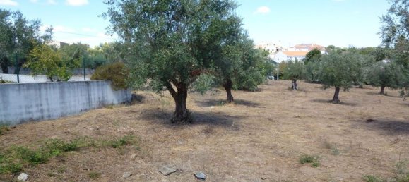 Casa T4 em Mouriscas, Portugal N.º 29433 4