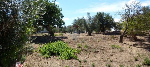 Casa T4 em Mouriscas, Portugal N.º 29433 2