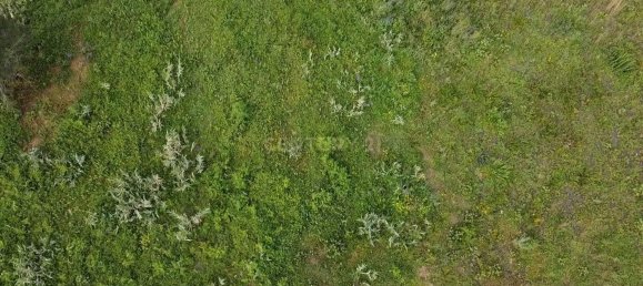 Terreno en Azambuja, Portugal 28000 m² No. 142146 13