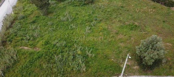 Terreno en Azambuja, Portugal 28000 m² No. 142146 12