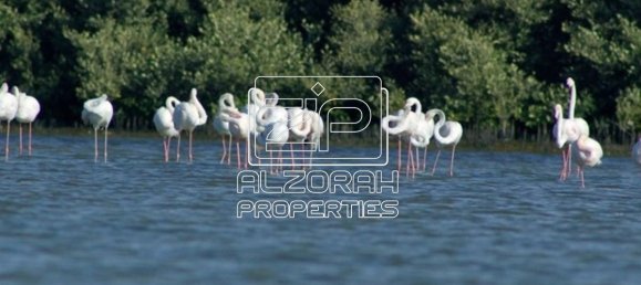 Wohnung in Al Zorah, UAE 62.8m², Nr. 68124 30