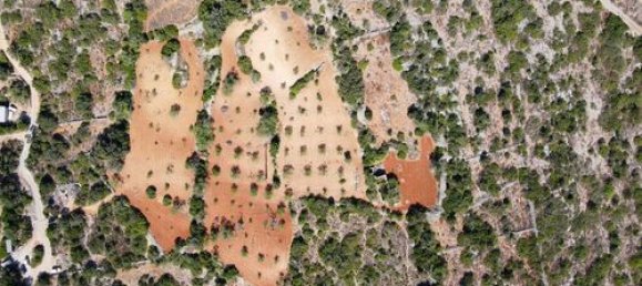 Grundstück in Olhao, Portugal, Nr. 35745 3